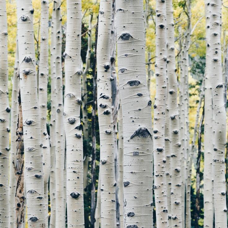 Nature travel hero image